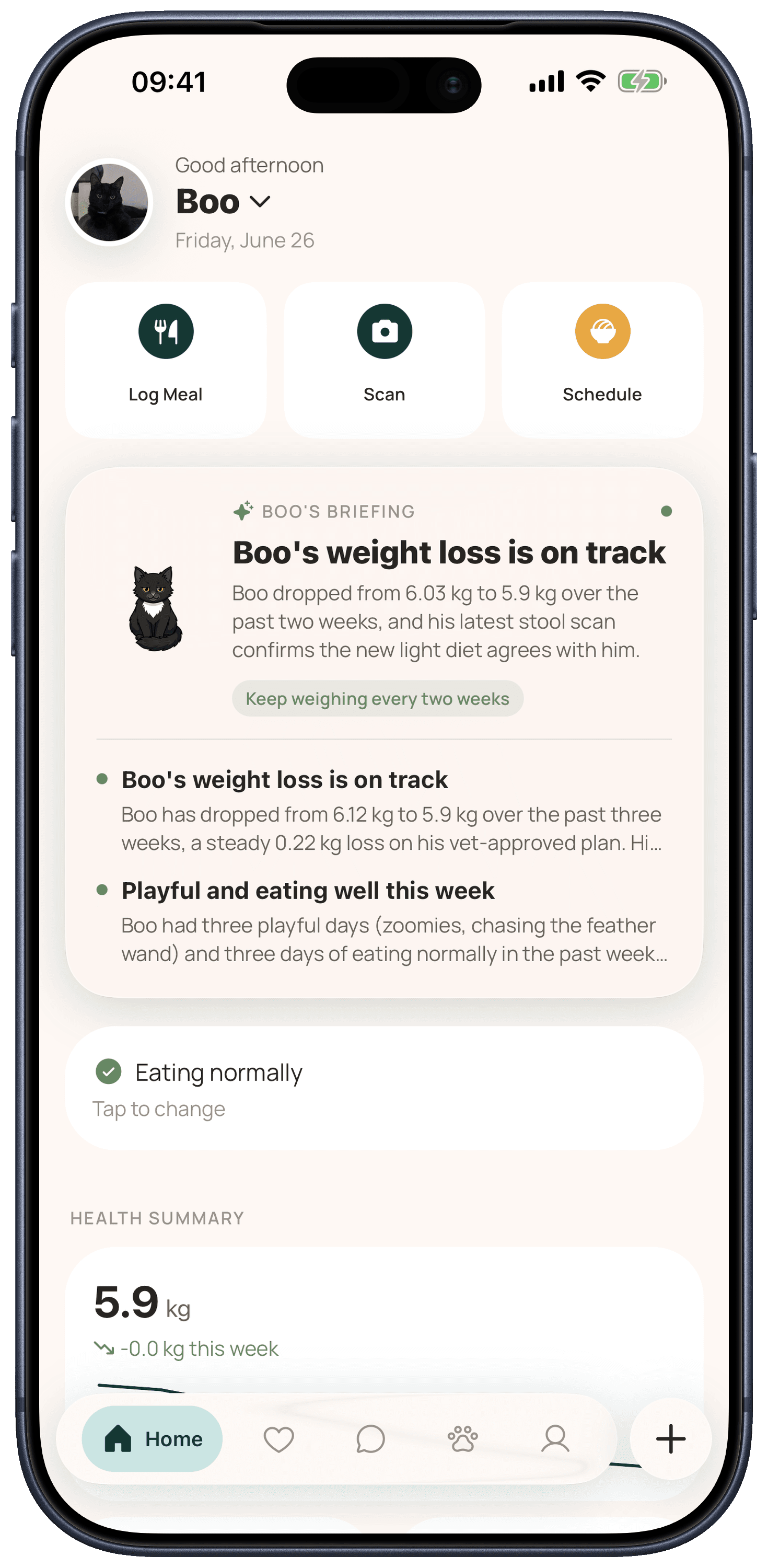 MiauMiau app home screen — health check-in, AI scan, feeding schedule, and weight tracking for Boo the cat